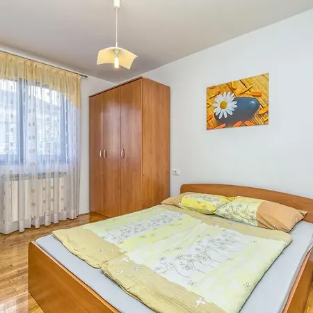Complex Silva Guest house