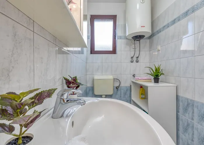 Gostinjska kuća Complex Silva